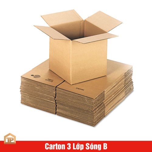 carton 3 lop song b